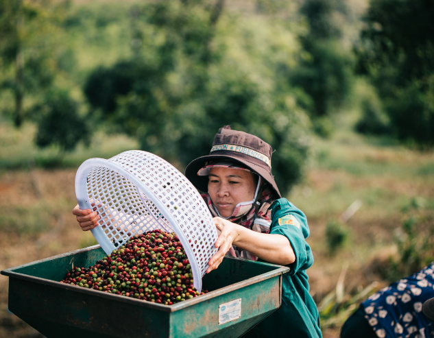 Sàng lọc và phân loại